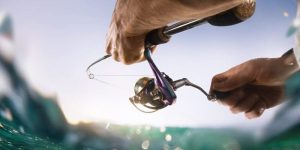 Fishing Rod Store Near Me - Tips for Safe Online Fishing